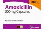 Amoxicillin 500 mg-product-img